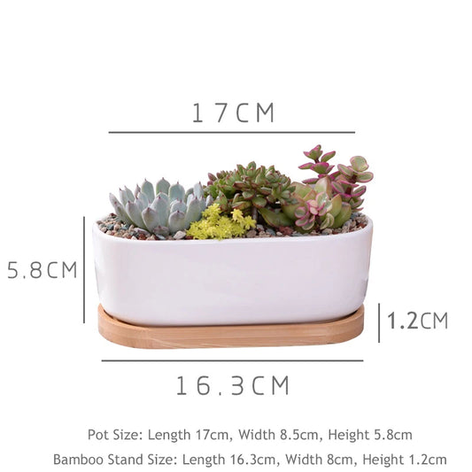 1 Set Minimalist White Ceramic Succulent Plant Pot Porcelain Planter Decorative Desktop Flowerpot Home Decor(1 Pot + 1 Tray)