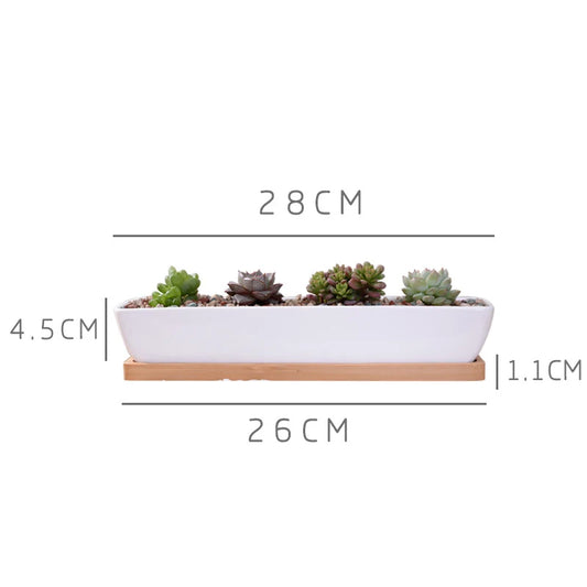 1 Set Minimalist Geometry White Ceramic Succulent Plant Pot Bonsai Planter Porcelain Flower Pot Home Decor (1 Pot + 1 Stand)