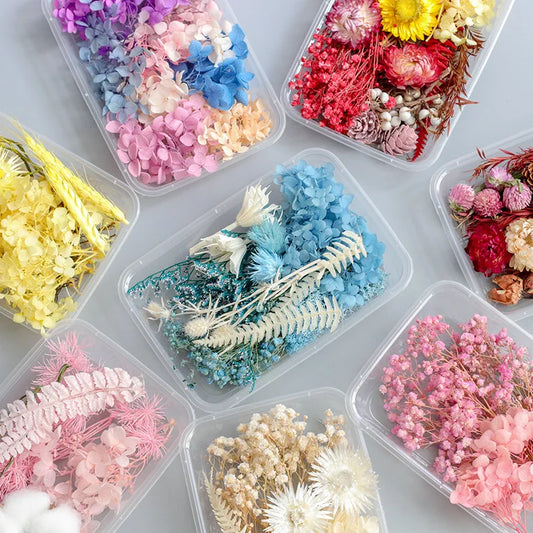 1Box Dried Flowers Dry Plants for Epoxy Resin Casting Mold DIY Aromatherapy Candle Molds Crafts Accessories