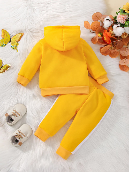 2Pcs Winter Sets For Baby Girls Flowers Print Long Sleeve Hooded Top And Long Pants Infant Newborn Outfits 0-24M