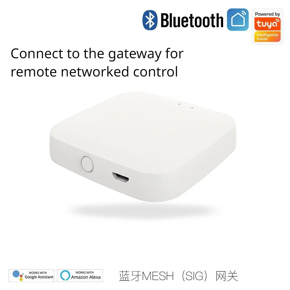 Tuya App Electronic Digital Smart Door Lock Biometric Fingerprint Password Remote Unlocking Keyless Office Apartment Door Lock
