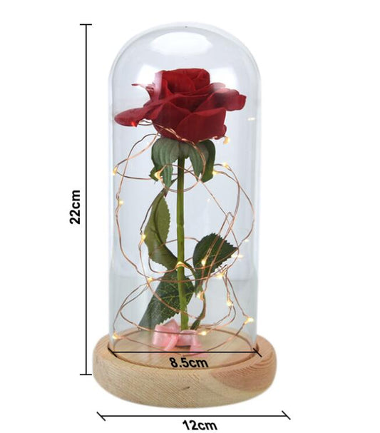 Enchanted Forever Rose Flower In Glass LED Light Christmas Decoration
