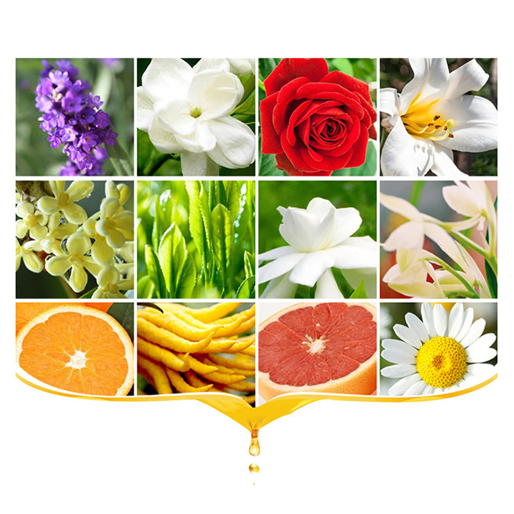 10ml/bottle Essential Oils For Aroma Diffuser Air Humidifier Aromatherapy Water-soluble Oil 12 Kinds Of Fragrance To Choose L5