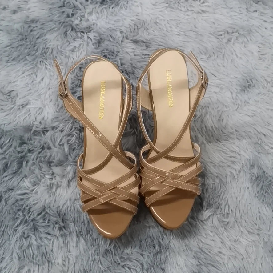 LOSLANDIFEN Women Sandals Sexy 14CM Platform High Heels Ankle Strap Sandal Open Toe Sanke Gladiator Party Dress Woman Shoes