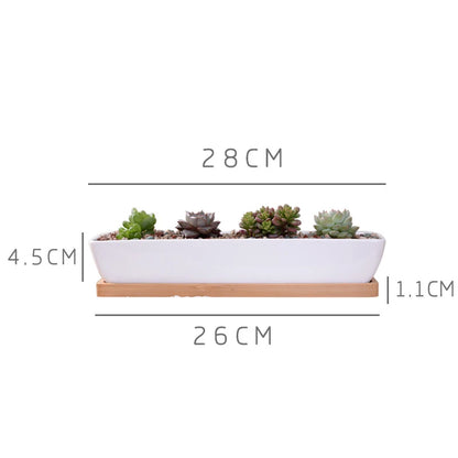 1 Set Minimalist Geometry White Ceramic Succulent Plant Pot Bonsai Planter Porcelain Flower Pot Home Decor (1 Pot + 1 Stand)