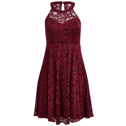 Casual Lace Sleeveless Day Dress