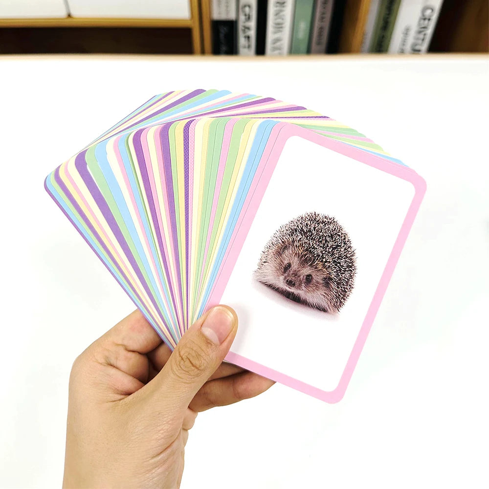 36 Double-Sided Animal Cognitive Cards, Kidsren's Enlightenment Picture Learning, Paper Fun Teaching Cards