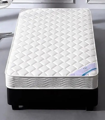 6-Inch Twin Size Spring Mattress (Twin) (furMattB3260Twin_Mint)