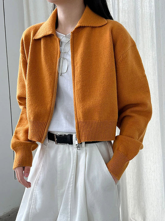 [EAM] Orange Big Size Casual Knitting Cardigan Sweater Lapel Long Sleeve Women New Fashion Tide Spring Autumn 2026 1DJ3315