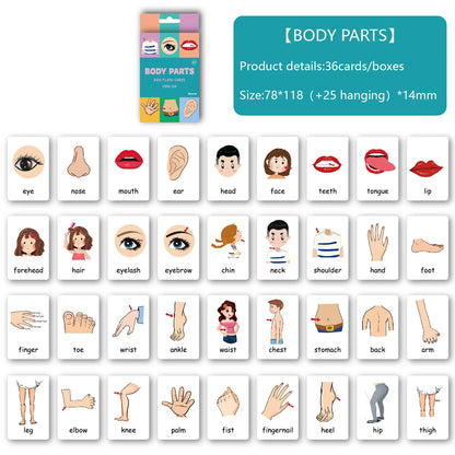 Montessori Alphabet Flashcards for Kids 3-14 Years, 36 Cards x 8 Themes, Educational Toys, Reading/Writing Learning Games Gift