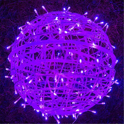 49358499578136|49358499610904