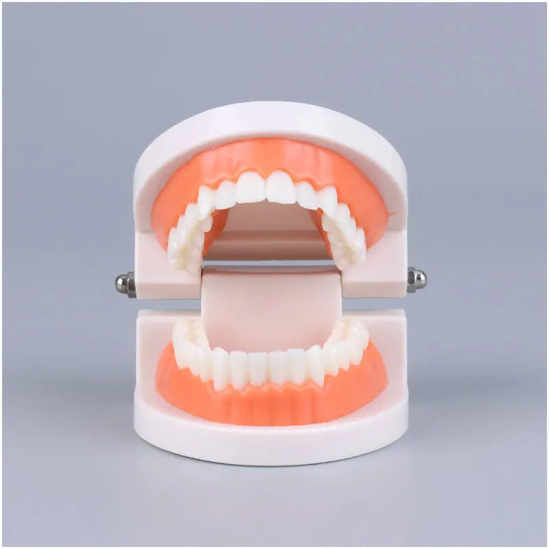 Montessori Educational Toys for Children Early Learning Kids Intelligence Brushing Tooth Teaching Aids Simulated Practical Life