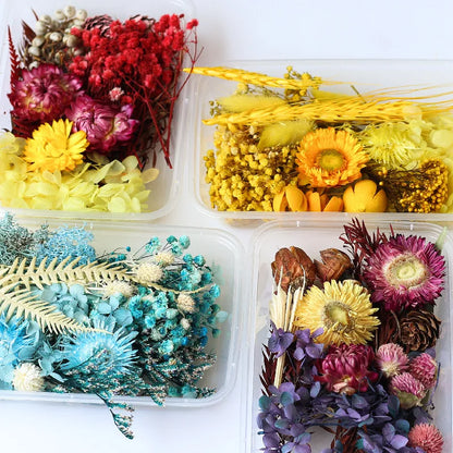 1Box Dried Flowers Dry Plants for Epoxy Resin Casting Mold DIY Aromatherapy Candle Molds Crafts Accessories