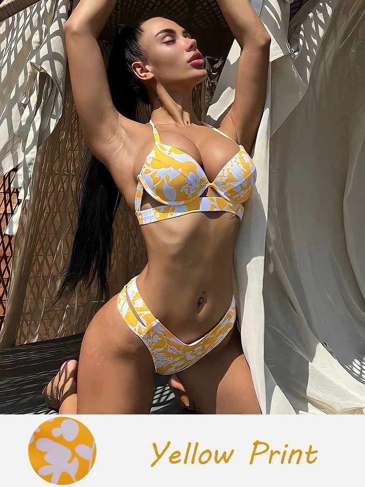 48682229432600|48682229727512|48682229825816