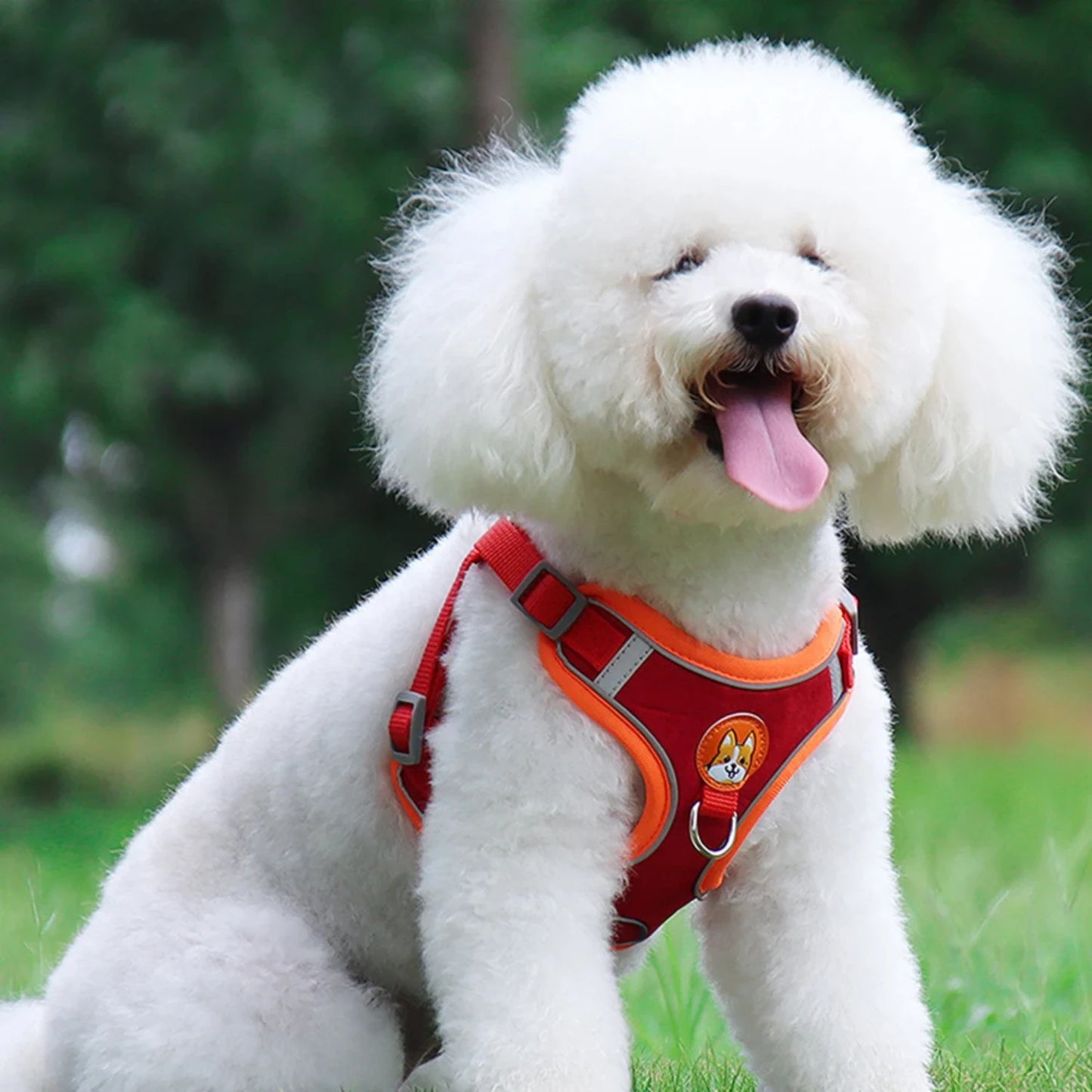 Dog Harness with 1.5m Traction Leash Set  Pull Dog Vest Strap Adjustable Reflective Breathable Harness  Dogs Puppy and Cats Flea