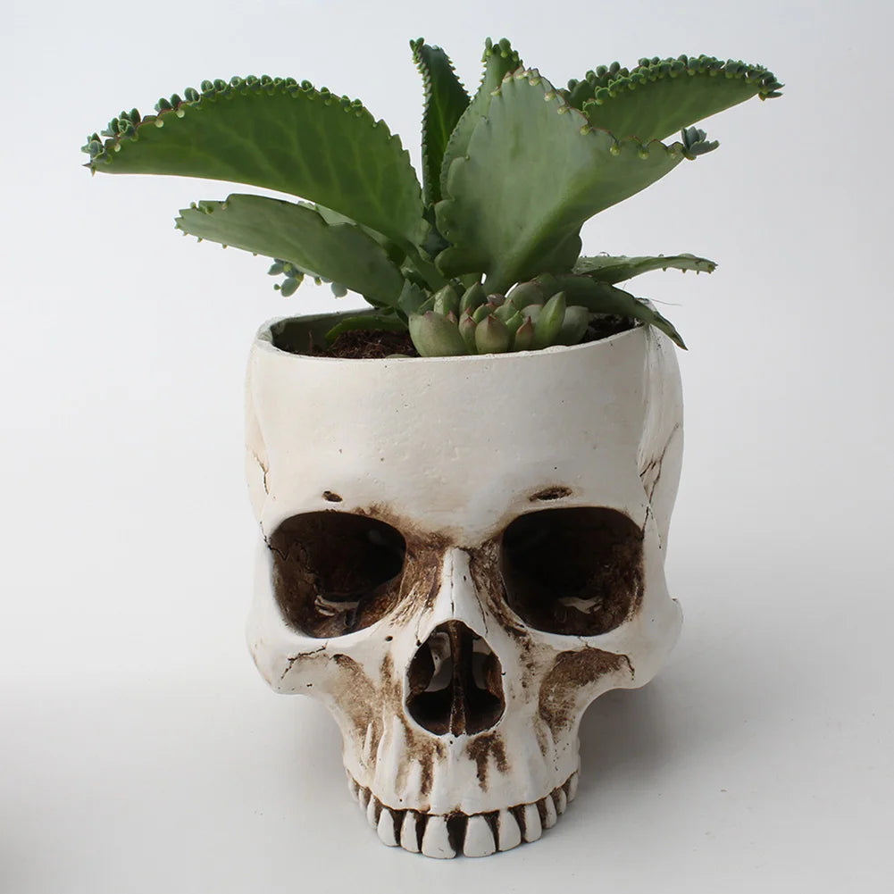 Resin Skull Flower Pot Home Garden Office Decor Planter Container Skeleton Desktop Flower Pot Halloween Skeleton Flowerpot