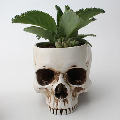 Resin Skull Flower Pot Home Garden Office Decor Planter Container Skeleton Desktop Flower Pot Halloween Skeleton Flowerpot