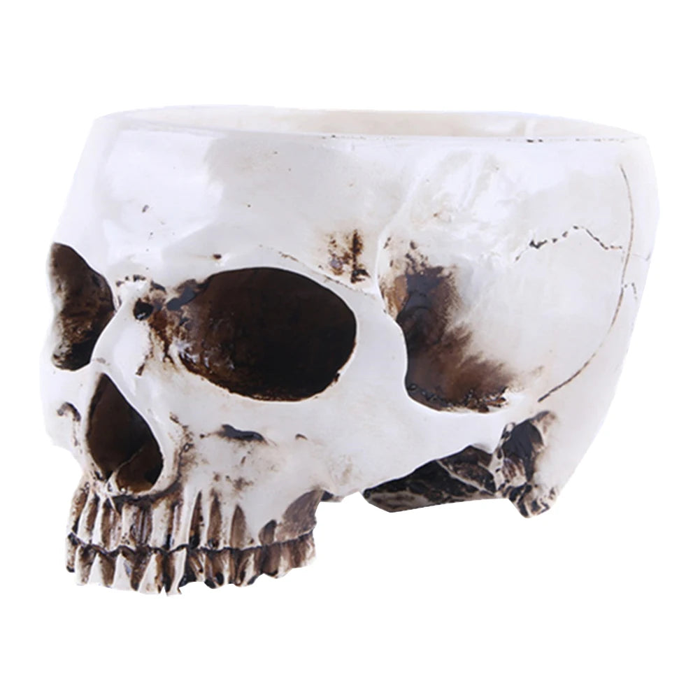 Resin Skull Flower Pot Home Garden Office Decor Planter Container Skeleton Desktop Flower Pot Halloween Skeleton Flowerpot