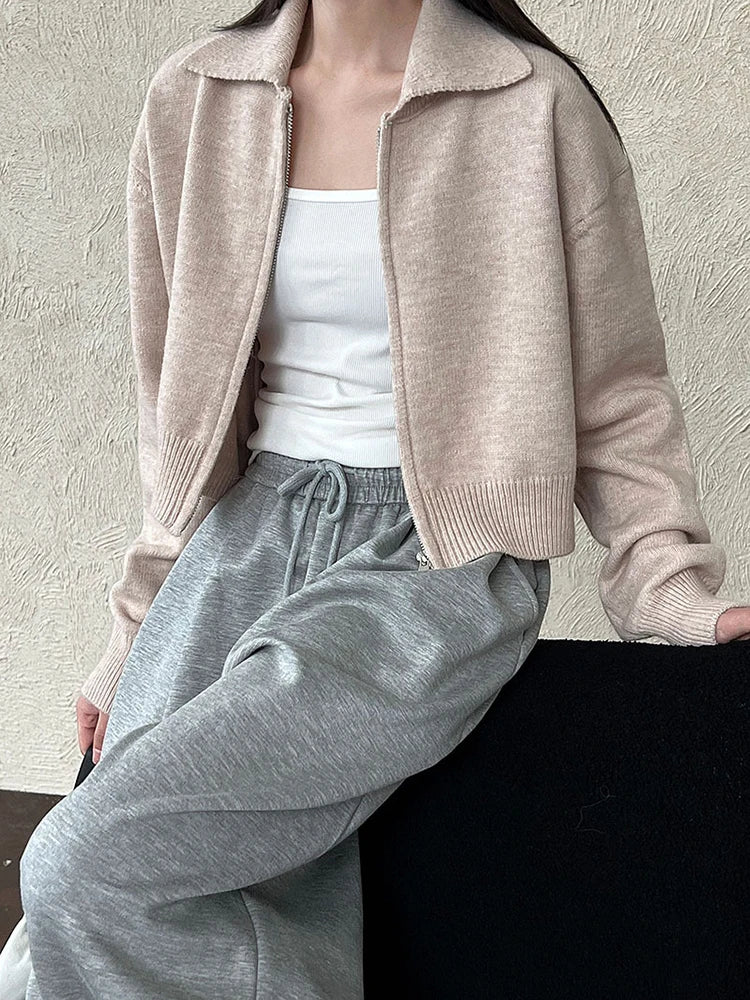 [EAM] Orange Big Size Casual Knitting Cardigan Sweater Lapel Long Sleeve Women New Fashion Tide Spring Autumn 2026 1DJ3315