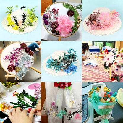 1Box Dried Flowers Dry Plants for Epoxy Resin Casting Mold DIY Aromatherapy Candle Molds Crafts Accessories