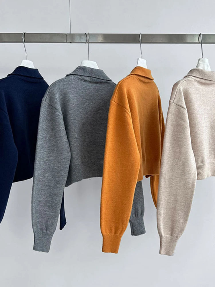 [EAM] Orange Big Size Casual Knitting Cardigan Sweater Lapel Long Sleeve Women New Fashion Tide Spring Autumn 2026 1DJ3315