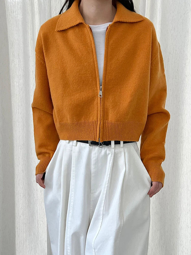 [EAM] Orange Big Size Casual Knitting Cardigan Sweater Lapel Long Sleeve Women New Fashion Tide Spring Autumn 2026 1DJ3315
