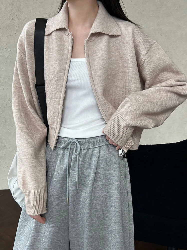 [EAM] Orange Big Size Casual Knitting Cardigan Sweater Lapel Long Sleeve Women New Fashion Tide Spring Autumn 2026 1DJ3315