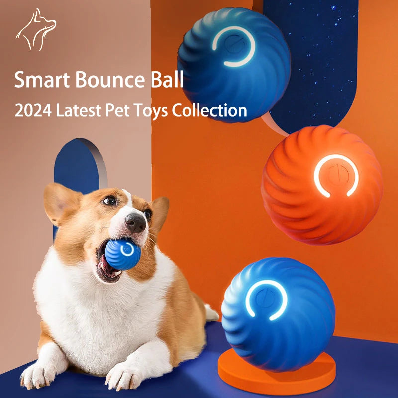 Smart Rolling Jumping Ball Toy Durable Dog Chew Toys Pet Grinding Teeth squeak Balls For Dog Interactive Supplies