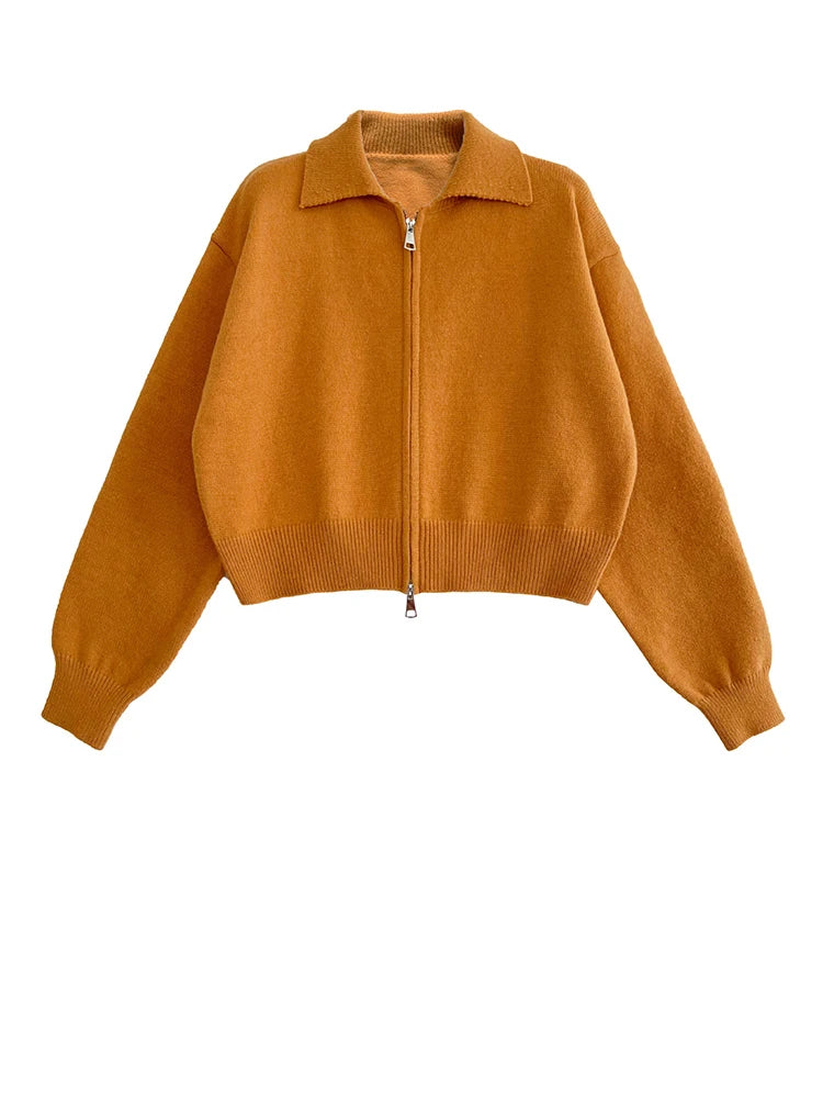 [EAM] Orange Big Size Casual Knitting Cardigan Sweater Lapel Long Sleeve Women New Fashion Tide Spring Autumn 2026 1DJ3315