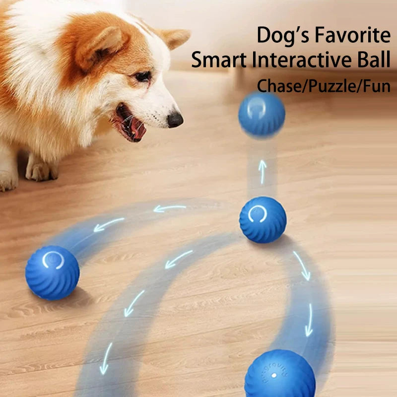 Smart Rolling Jumping Ball Toy Durable Dog Chew Toys Pet Grinding Teeth squeak Balls For Dog Interactive Supplies