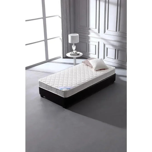 6-Inch Twin Size Spring Mattress (Twin) (furMattB3260Twin_Mint)