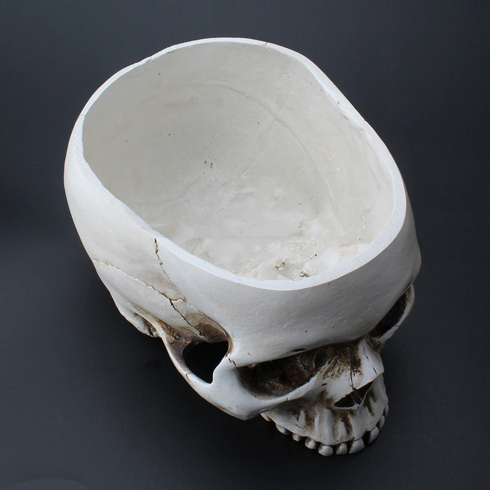 Resin Skull Flower Pot Home Garden Office Decor Planter Container Skeleton Desktop Flower Pot Halloween Skeleton Flowerpot