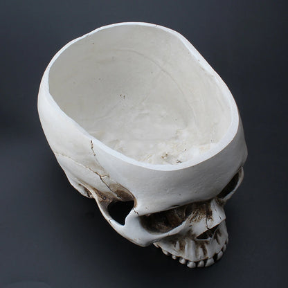 Resin Skull Flower Pot Home Garden Office Decor Planter Container Skeleton Desktop Flower Pot Halloween Skeleton Flowerpot