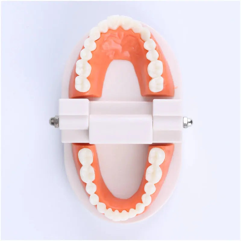 Montessori Educational Toys for Children Early Learning Kids Intelligence Brushing Tooth Teaching Aids Simulated Practical Life