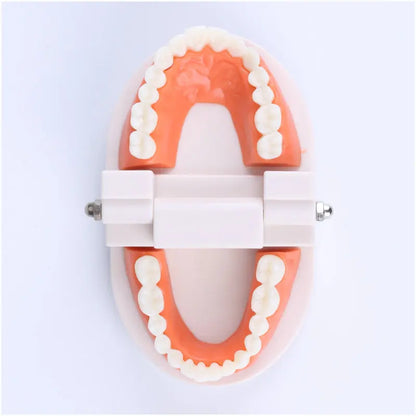 Montessori Educational Toys for Children Early Learning Kids Intelligence Brushing Tooth Teaching Aids Simulated Practical Life