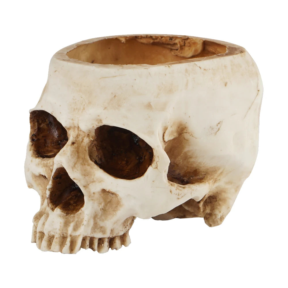 Resin Skull Flower Pot Home Garden Office Decor Planter Container Skeleton Desktop Flower Pot Halloween Skeleton Flowerpot