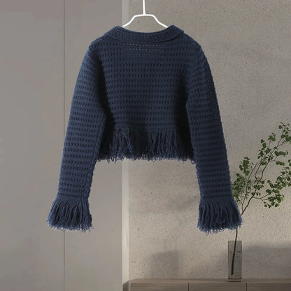 Sexy Knitted Tassel Top Skirt Women Set Dark Blue Long Sleeve Lapel Button Tops Pleated Mini Skirts 2025 Fashion Solid Lady Suit