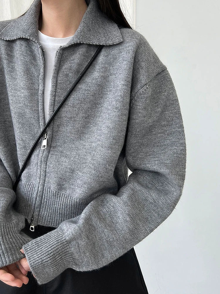 [EAM] Orange Big Size Casual Knitting Cardigan Sweater Lapel Long Sleeve Women New Fashion Tide Spring Autumn 2026 1DJ3315