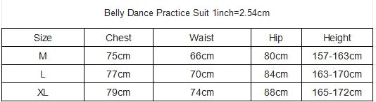 New Belly Dance Costume Set for Women's High end Sexy Rose Embroidery Practice Set Adult Oriental Dancing Clothing