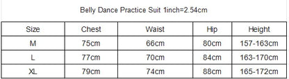 New Belly Dance Costume Set for Women's High end Sexy Rose Embroidery Practice Set Adult Oriental Dancing Clothing
