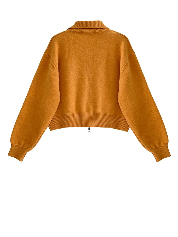 [EAM] Orange Big Size Casual Knitting Cardigan Sweater Lapel Long Sleeve Women New Fashion Tide Spring Autumn 2026 1DJ3315