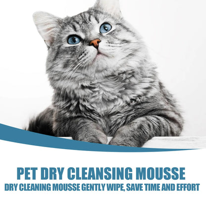Pet Dry Shampoo Foam Waterless Cleansing For Puppies Odor Eliminator 60ml Dog Show Accessories High Quality Fast Shipping
