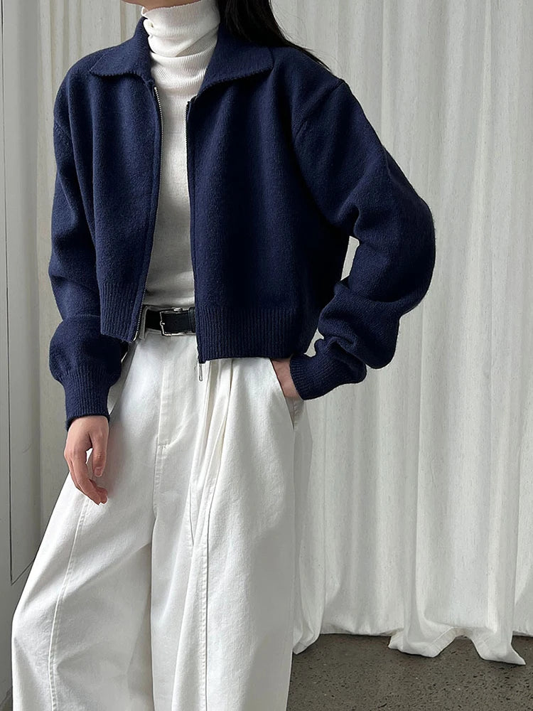 [EAM] Orange Big Size Casual Knitting Cardigan Sweater Lapel Long Sleeve Women New Fashion Tide Spring Autumn 2026 1DJ3315