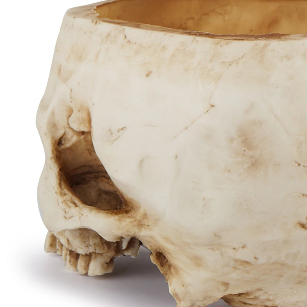 Resin Skull Flower Pot Home Garden Office Decor Planter Container Skeleton Desktop Flower Pot Halloween Skeleton Flowerpot