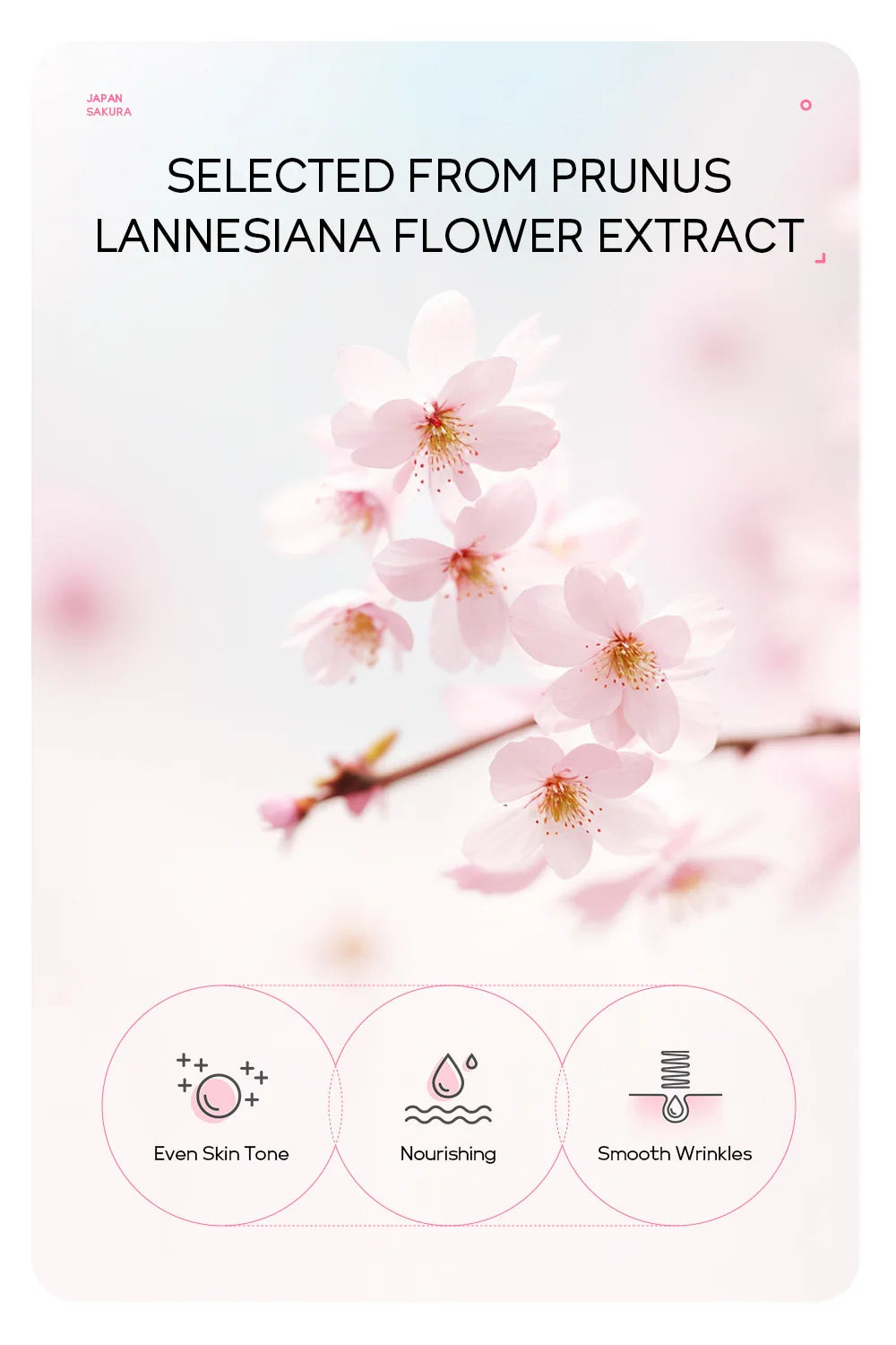 Sakura Peeling Face Mask Deep Cleansing 24k Gold Blackhead Removed Tear Off Mask Repairing & Smoothing Facial Skin Care 50g