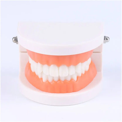 Montessori Educational Toys for Children Early Learning Kids Intelligence Brushing Tooth Teaching Aids Simulated Practical Life