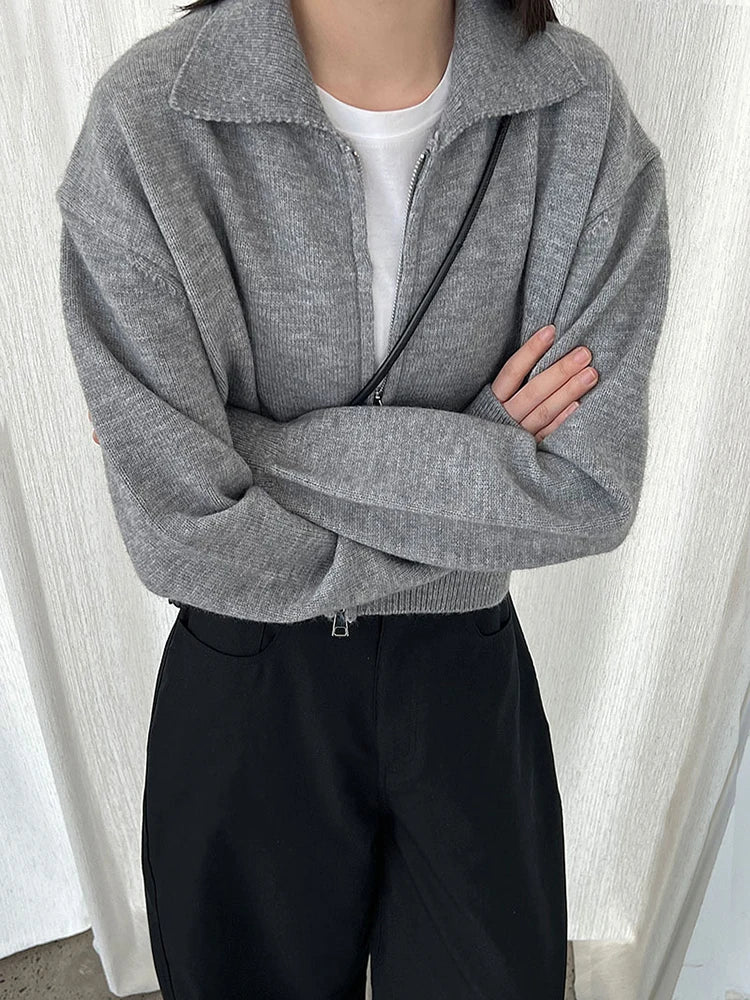[EAM] Orange Big Size Casual Knitting Cardigan Sweater Lapel Long Sleeve Women New Fashion Tide Spring Autumn 2026 1DJ3315