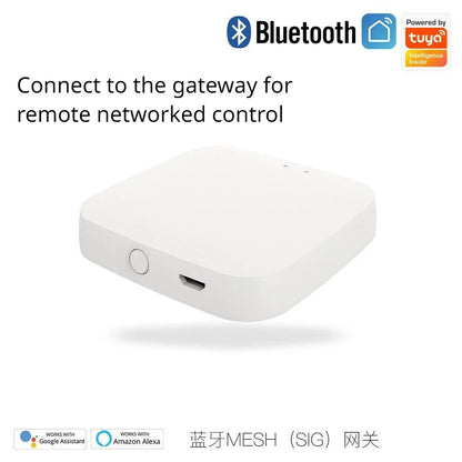 Tuya App Electronic Digital Smart Door Lock Biometric Fingerprint Password Remote Unlocking Keyless Office Apartment Door Lock