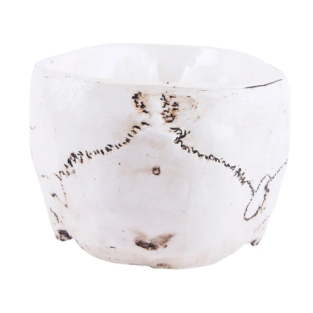 Resin Skull Flower Pot Home Garden Office Decor Planter Container Skeleton Desktop Flower Pot Halloween Skeleton Flowerpot