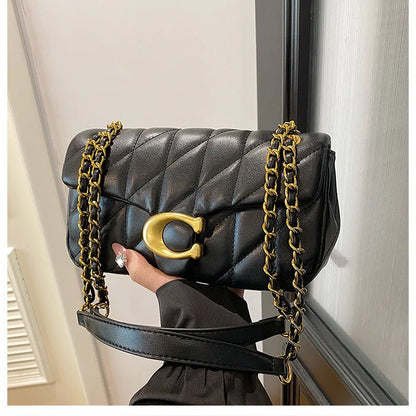 Handheld black quilted leather luxury square chain handbag with gold C clasp and double chain strap